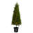 3.5ft. Cypress Artificial Tree with 350 LED Lights UV Resistant (Indoor/Outdoor)