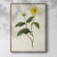 «Flowers of the Seasons», reproduction encadrée en bois massif-455269964