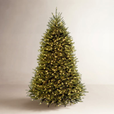 Dunhill Fir Tree with Clear Lights