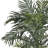  6.5ft. Golden Cane Palm Silk Tree