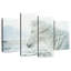 Cheval Islandais Brampt-108905985