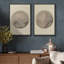 Décorations classiques classiques de la nature antique, monochrome, nature sauvage, illustrations-101751921-101751923