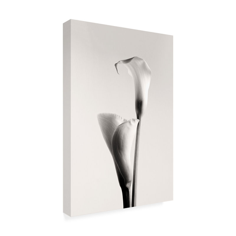 Calin Hanchevici  Calla Canvas Art, L 22 po x H 32 po