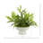 Mountain Fern and Moss Arrangement