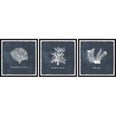 Gorgone corail triptyque