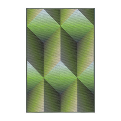 Indoor Rug