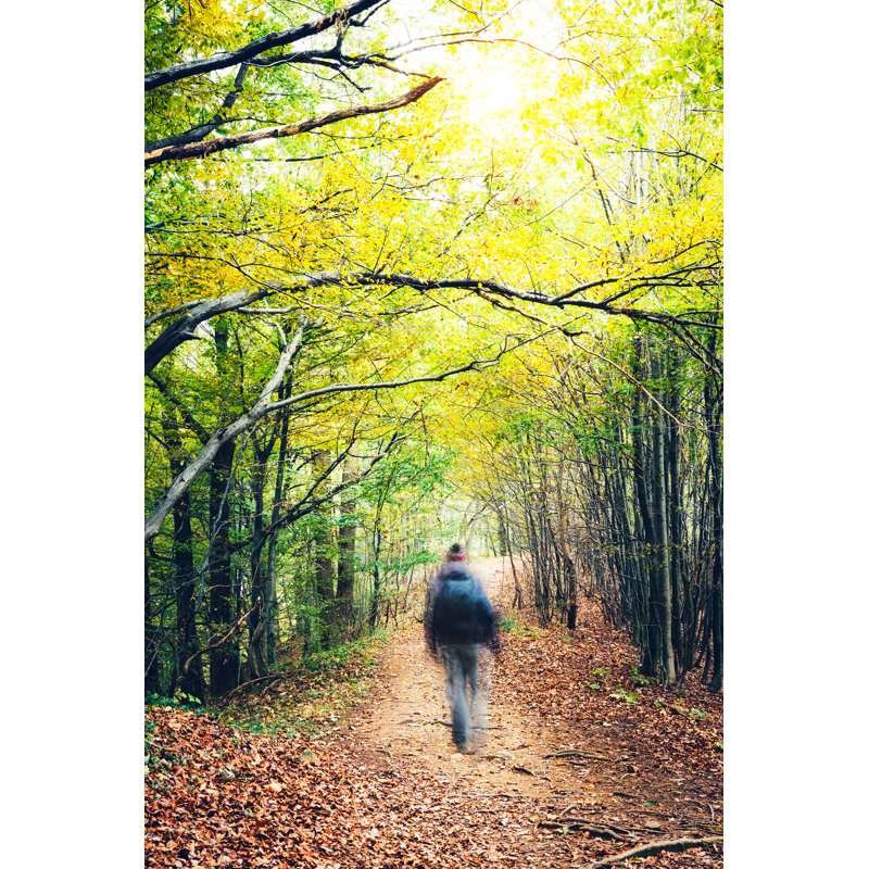 Hiking In An Autumn Forest by Borchee - No Frame Art Prints on Canvas, 46cm H x 30cm W