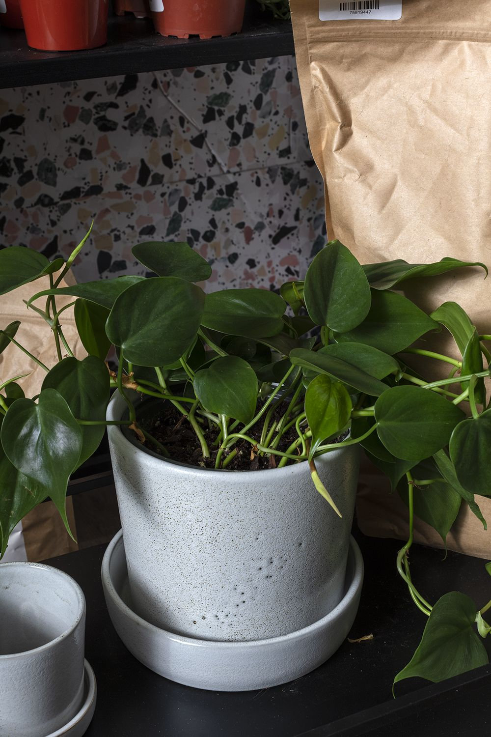 Handmade Ceramic Pot Planter, 6.5" H x 6.75" W x 6.75" D, Off White