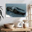 Mehar noir brillant Supercar-107693045