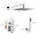 2 - Functions Pressure Balancing Shower Faucet with Rough-in Valve