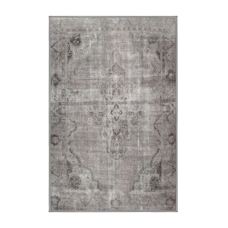 Oriental Indoor Rug, Rectangle 4' x 6'