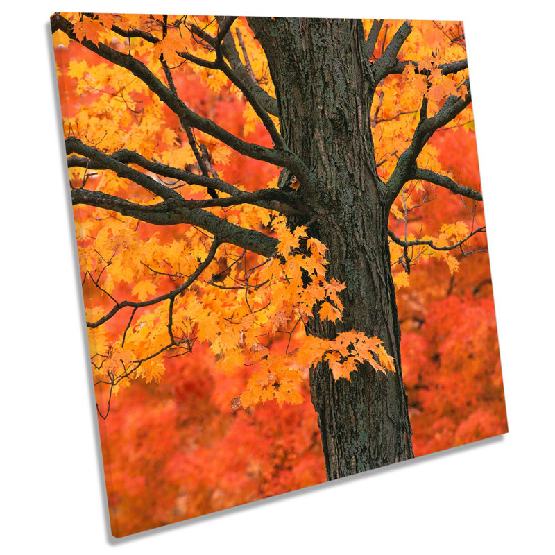 Z2337 Floral Autumn Tree - Wrapped Canvas Print, 60cm H x 60cm W x 2cm D