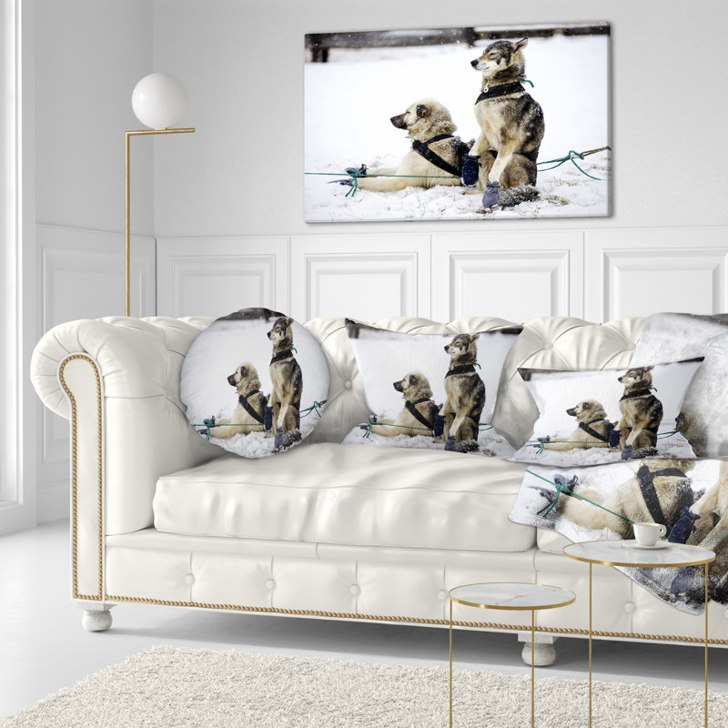 Coussin lombaire à grand chariot pour animaux
