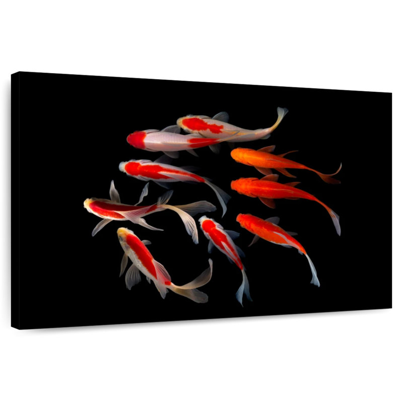 Crowle kuddling koi, H 30 po x l 45 po