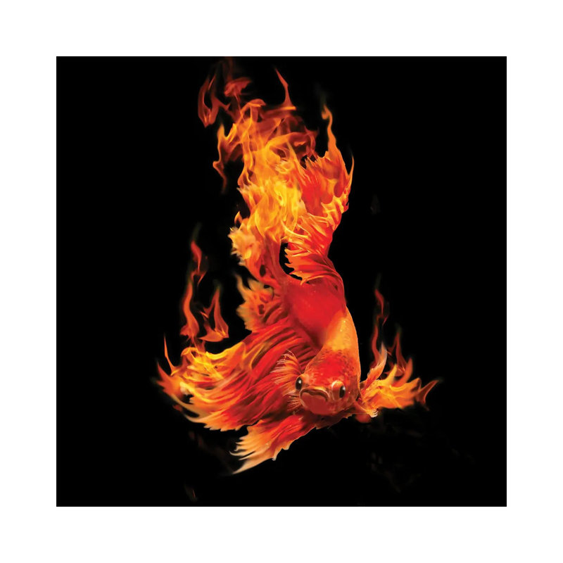 Fighting Fishon Fire 1 Piece Wall Art on Canvas, 66.04 cm H x 66.04 cm W x 1.91 cm D, Wrapped Canvas