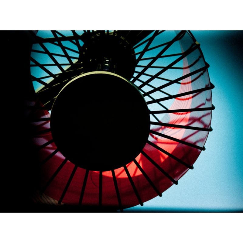 Red Lantern Print by Alan Scherer