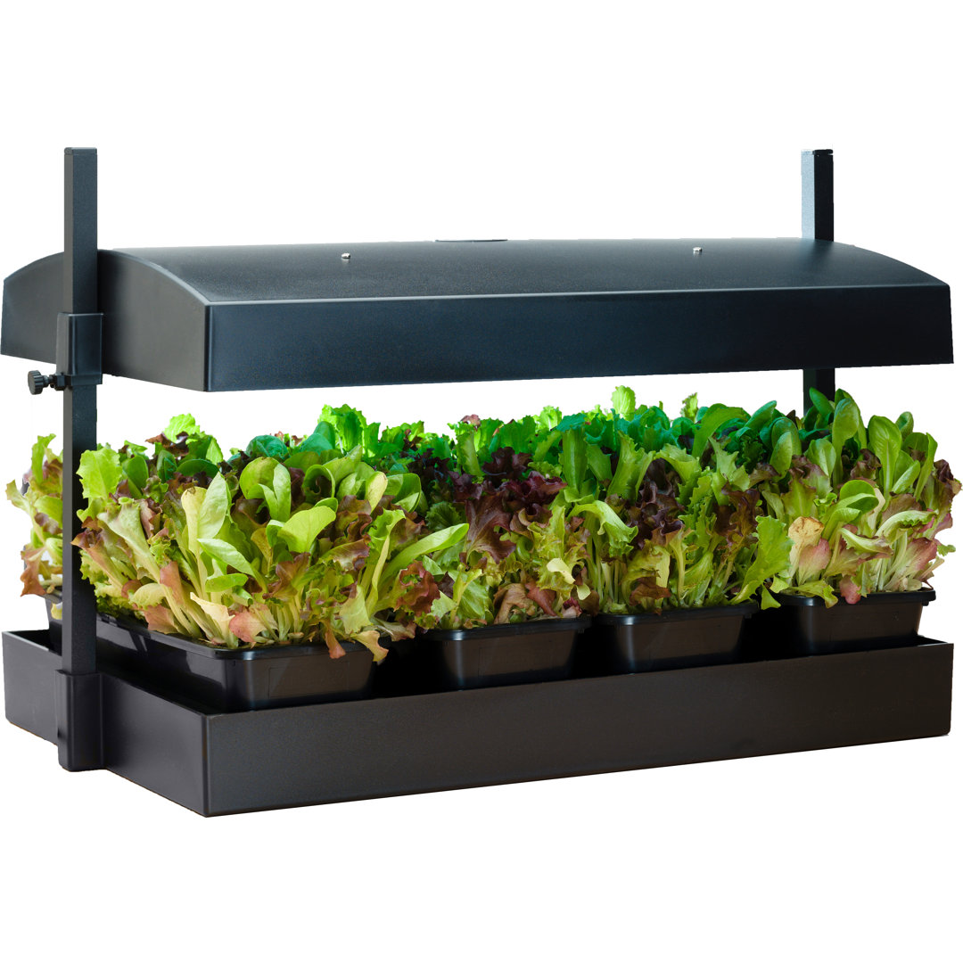 Sunblaster Growing Kit Sunblaster