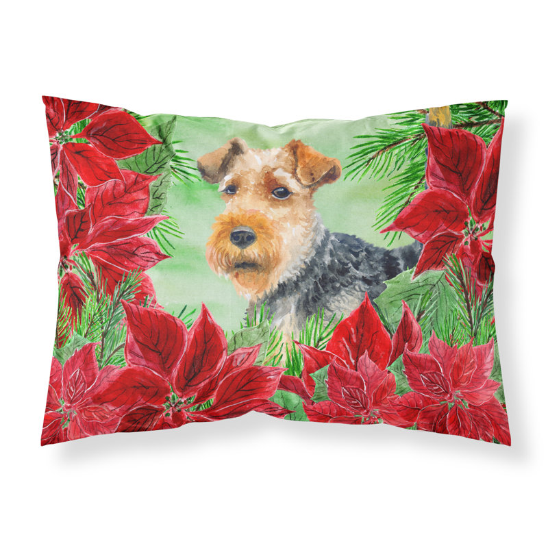 Microfiber, Welsh Terrier