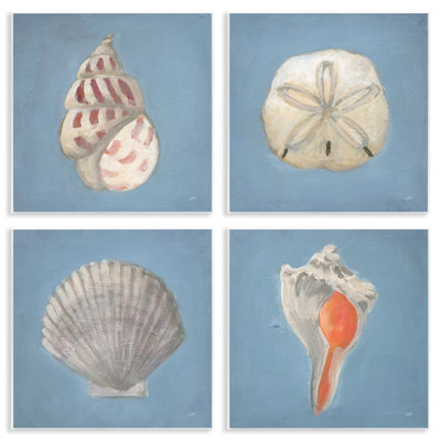 Ensemble de 4 plaques murales Soft Sea Shell Collection, design par Julia Purinton