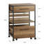 Princetown Wood Bar Cart