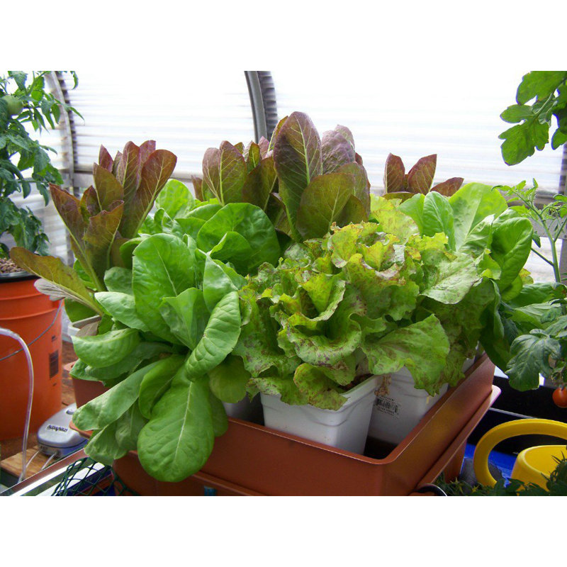 Accessoire décoratif Megagarden System