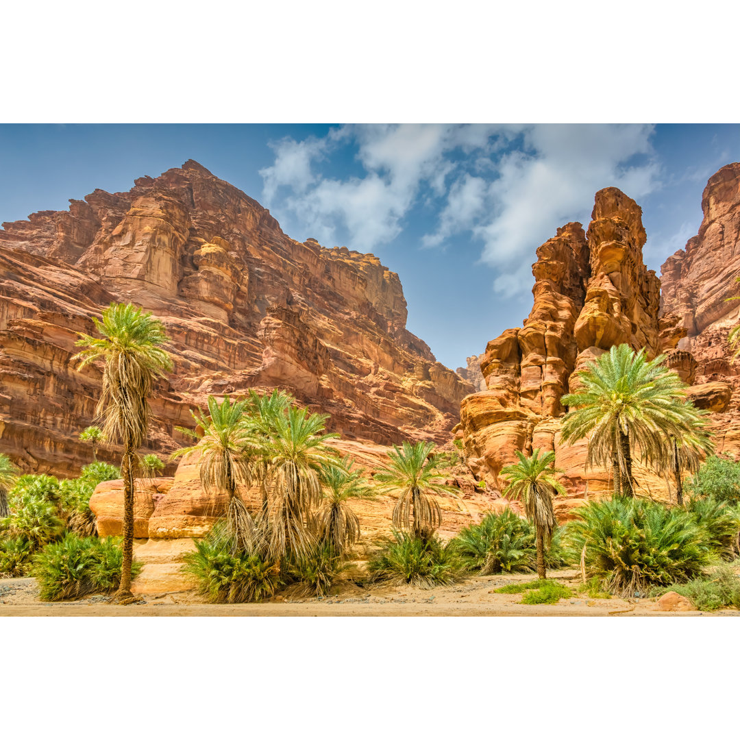 Wadi Al Disah Saudi-Arabien von Benedek - Kunstdrucke auf Leinwand