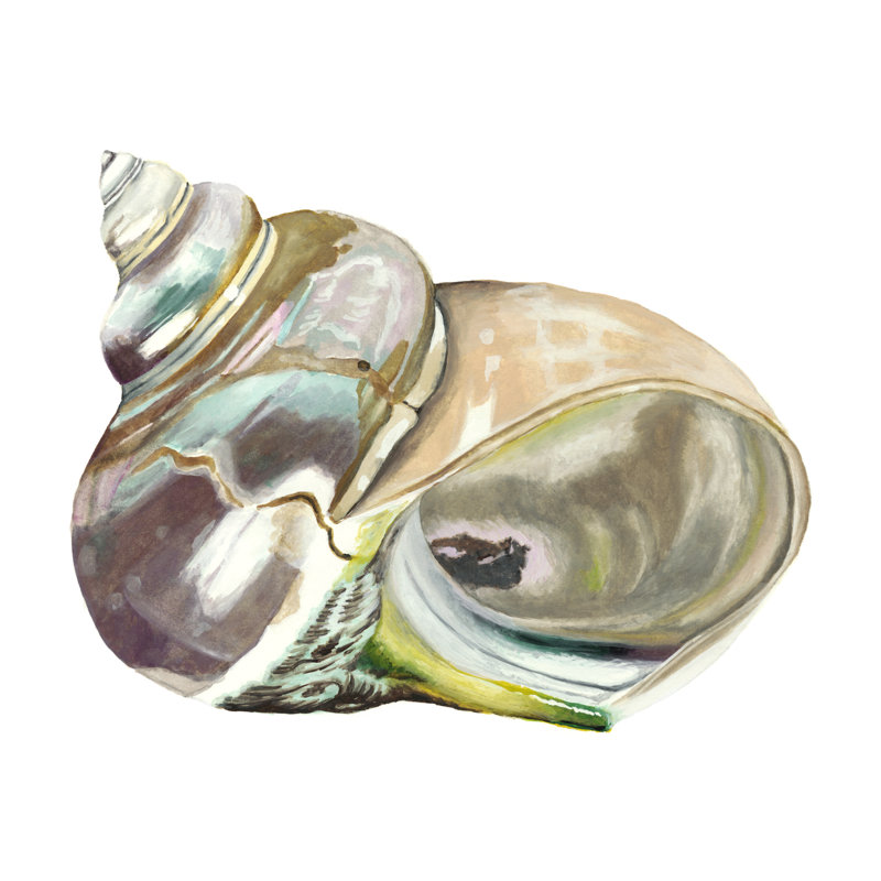 Souvenirs de bord de mer IV, H 30 po x l 30 po x P 1,25 po