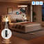 Upholstered Velvet Lift Up Storage Bed-82161958