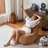 Shell-shaped Bean Bag Chair-13304666
