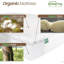 Matelas Agra 8 pouces-130622241-112231723
