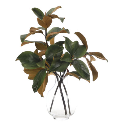 Magnolia Branch, Drop In, Glass Vase, 20wx15dx23h