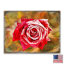 Bloc de bois rose Gilligan-804974680