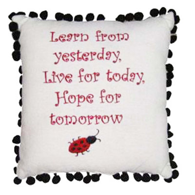 Learn From Yesterday Embroidered Pillow