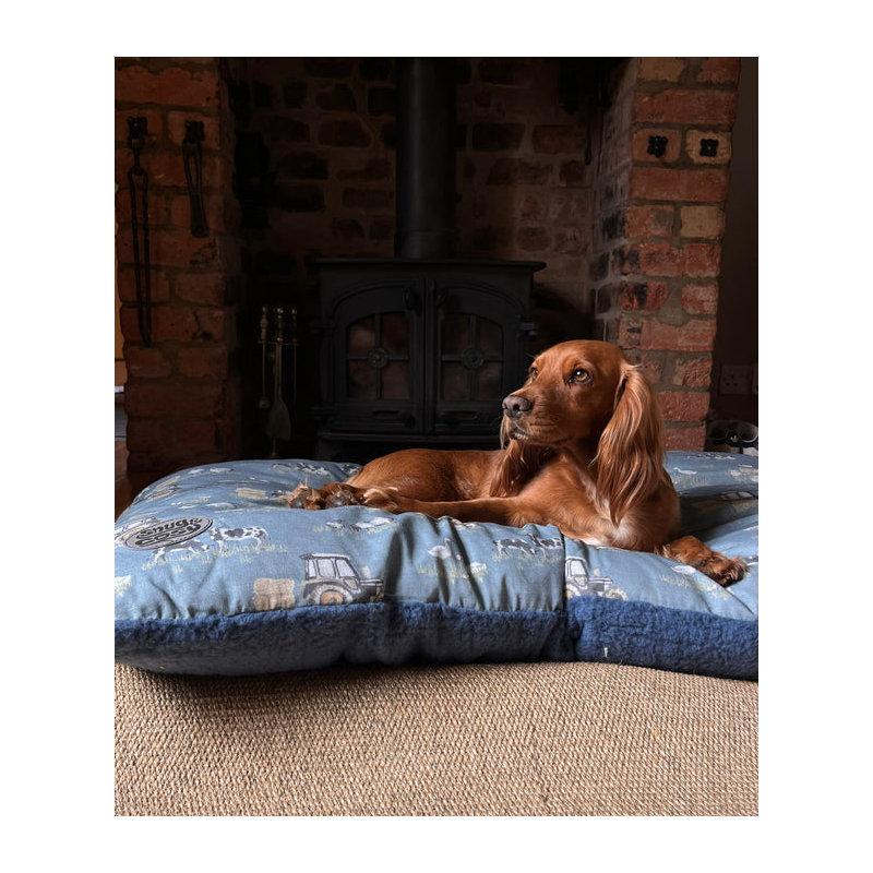 Dardel Pet Bed Cushion, 71.12cm W x 119.38cm L, Blue