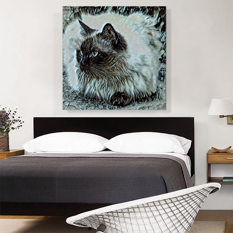 Himalayan Cat Breed - reproduction d'art sur toile tendue, H 36 po x l 36 po x 1,5 po
