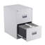 46.5cm Wide 2 -Drawer Steel File Cabinet-27057617