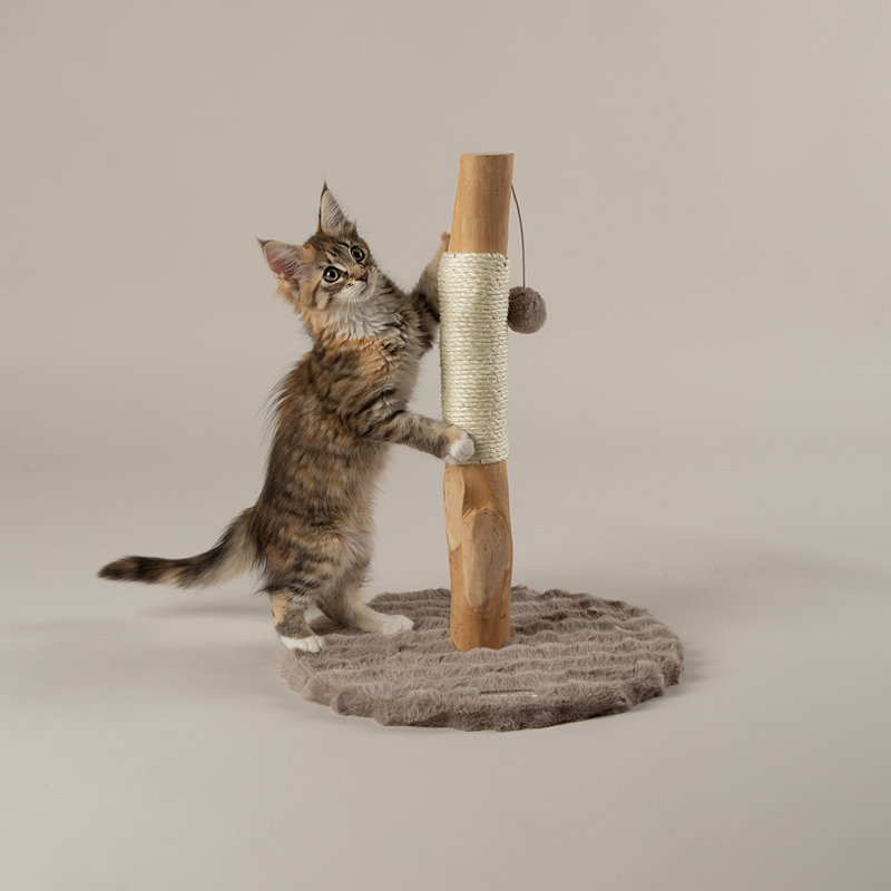 Scruffs Andes "My First" Cat Scratching Tree, Taupe