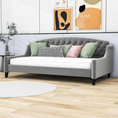Hashmat Twin Daybed by House of Hampton