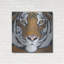 «Tiger Gaze» par Britt Hallowell-325729903