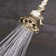 6 Jet 2.5 GPM Multi Function Adjustable Shower Head