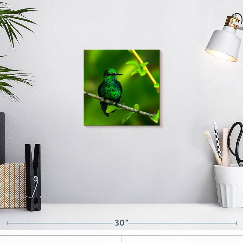 Brampt Perched Emerald Hummingbird