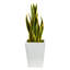 Plante artificielle en pot-379941339-379749829