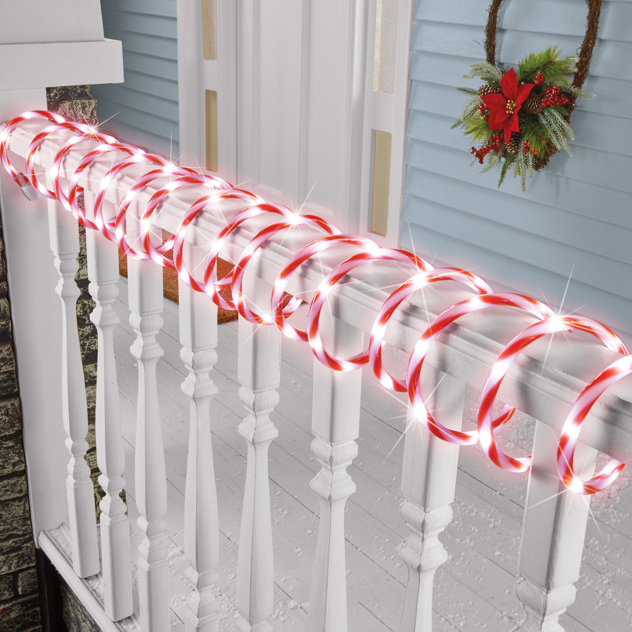 The Holiday Aisle® Rope Lights | Wayfair