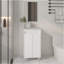Armoire de salle de bain à miroir Brady, une porte, deux tablettes, blanc-654808684