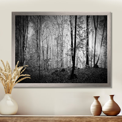 «Beautiful Forest Morning Panorama», reproduction