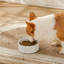 Hexagon Embossed Pattern Anti-skid Stoneware Dog Bowl-116384245