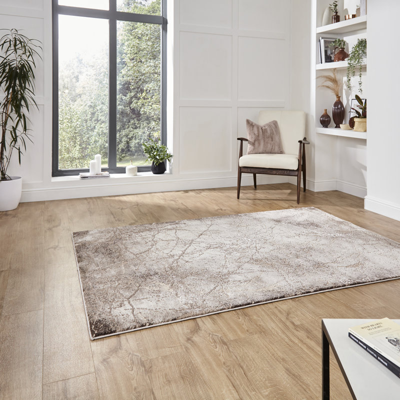 Hameldon area rug Machine Woven Rectangle Beige