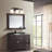 3 - Light Vanity Light
