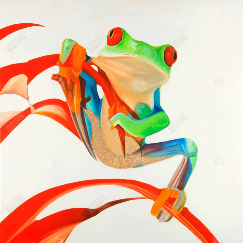 "Grenouille aux yeux rouges" sur toile