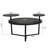 Modern Coffee Table With Two Display Shelve